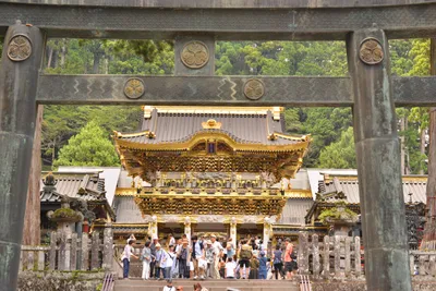 DSC_3861 (Large).JPG